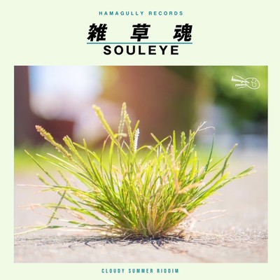 ZASSOU DAMASHII Front Cover