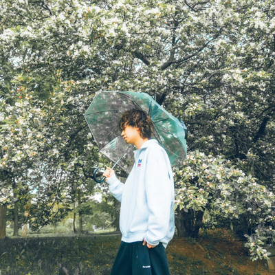 put up an umbrella Front Cover