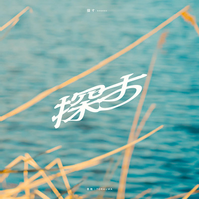 探す (feat. TORAUMA)のジャケット写真