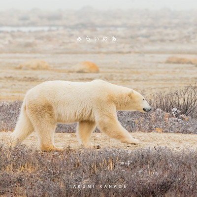 みらいのあのジャケット写真