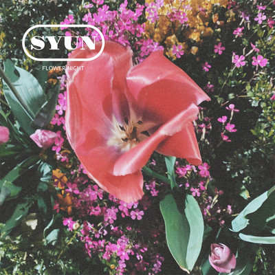 Flower Night Front Cover