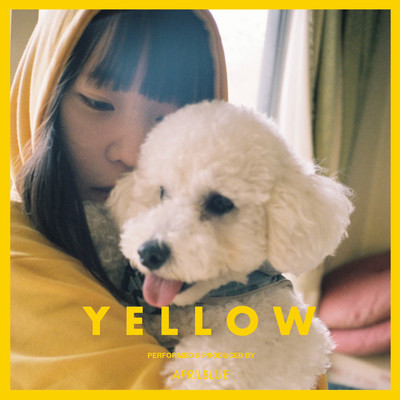 Yellow Front Cover