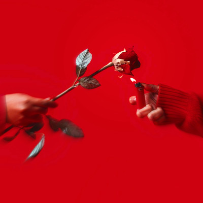 高嶺の花のジャケット写真