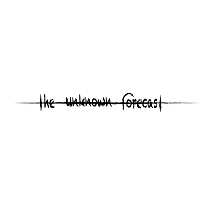 the unknown forecast <2010~2017> Front Cover