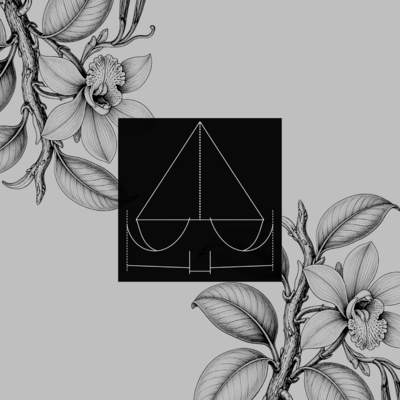 Vanilla Planifolia (edit)のジャケット写真