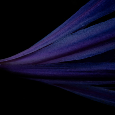 photon / graviton Front Cover