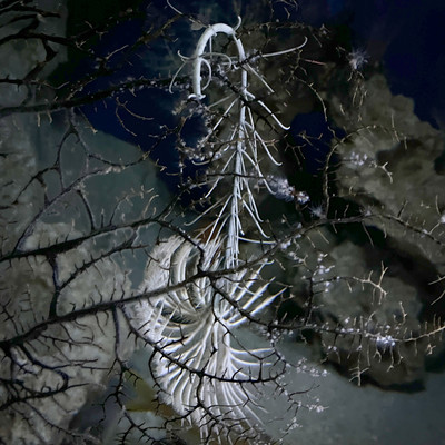 Blue vein Front Cover