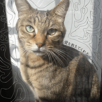 愛を教えてくれたのジャケット写真