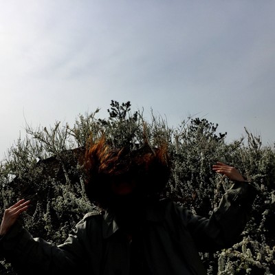 purのジャケット写真