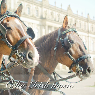 Celtic music Irish music - Music traveling around the world RPG style music - Front Cover