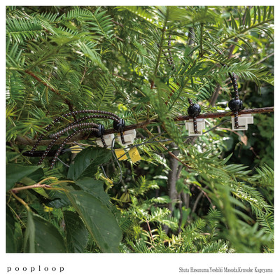 pooploop Front Cover