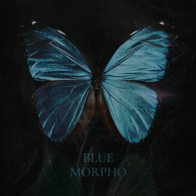 BLUE MORPHO (feat. Andiri Oga)のジャケット写真