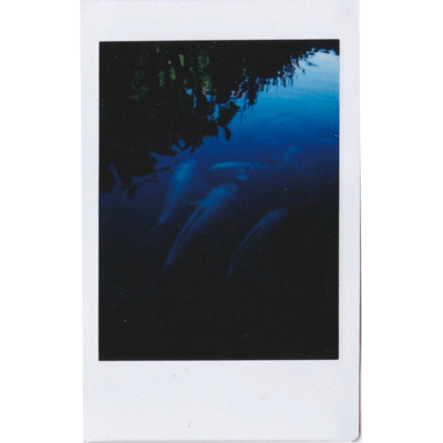 COSMO (feat. NeVGrN)のジャケット写真