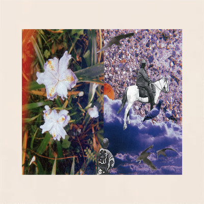 SHAKEのジャケット写真