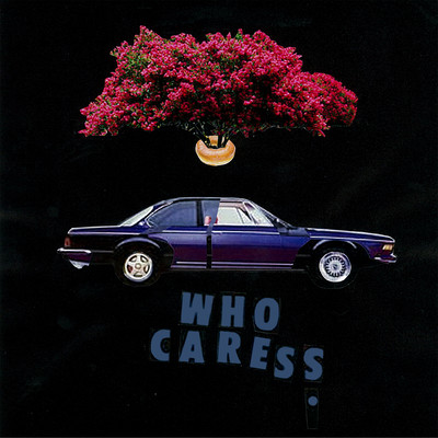 Who Cares? Front Cover