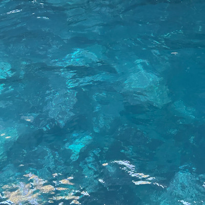 Life size Front Cover