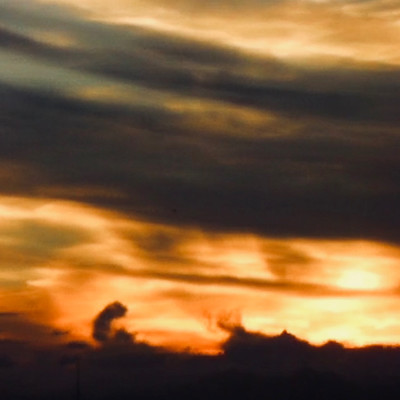 summer dreamのジャケット写真