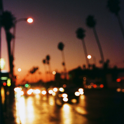 Summer Nights Front Cover