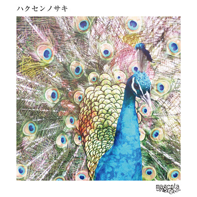 hakusennosaki Front Cover