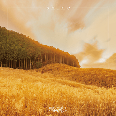 shineのジャケット写真