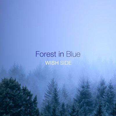 Forest in Blue Front Cover