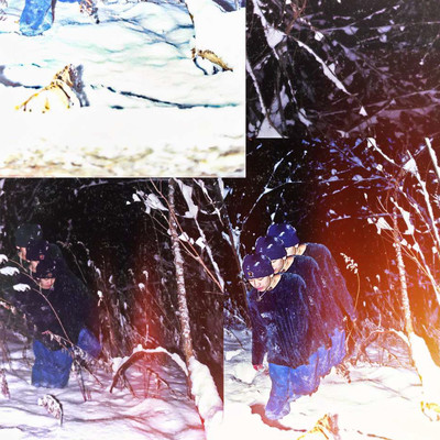 To Zのジャケット写真