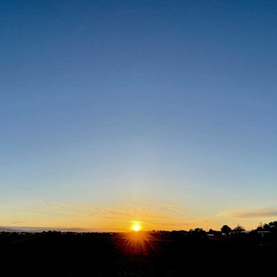 homeのジャケット写真