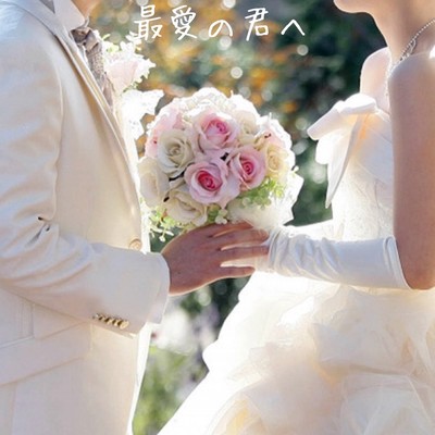 saiainokimie Front Cover