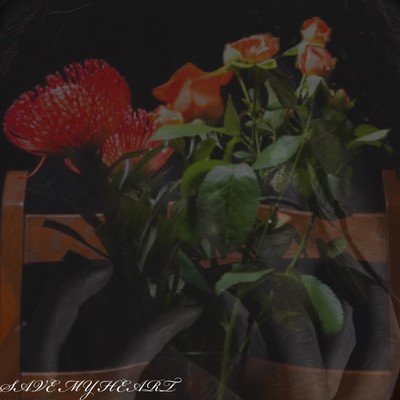 SAVE MY HEART Front Cover