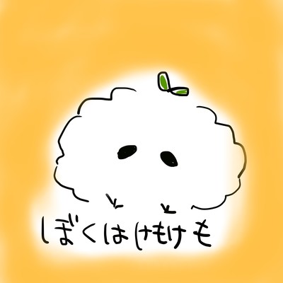 bokuhakemokemo Front Cover