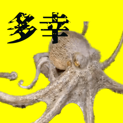 多幸のジャケット写真