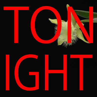 TONIGHTのジャケット写真