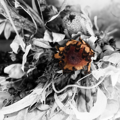 Brand new inner bloom Front Cover