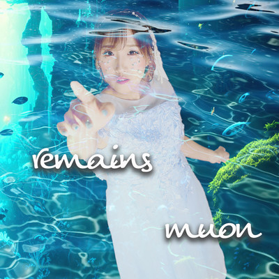 remains Front Cover