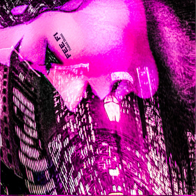 FEE FI Front Cover