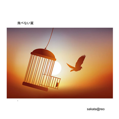 wings that can't fly Front Cover