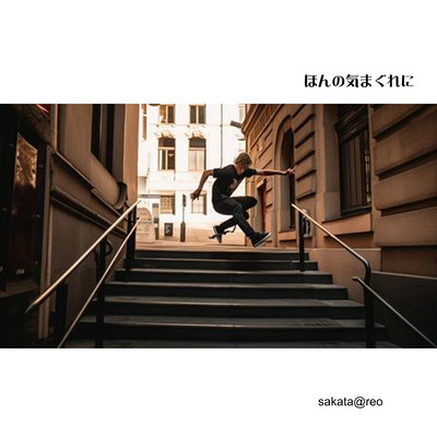 Just on a whim Front Cover