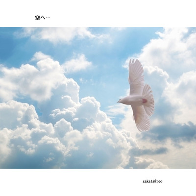 To the sky... Front Cover