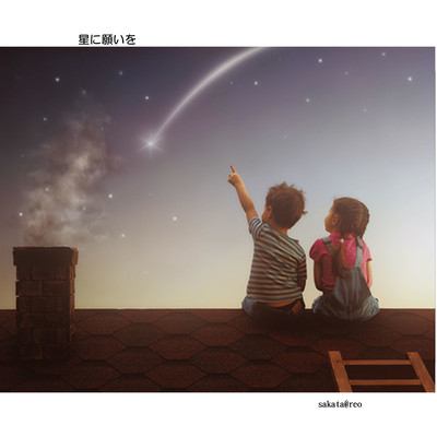 Wish the stars Front Cover