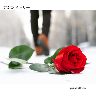 アシンメトリーのジャケット写真