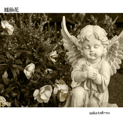 鳳仙花のジャケット写真