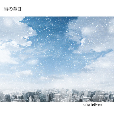雪の華IIのジャケット写真