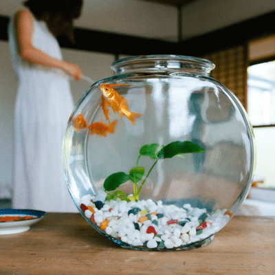 夢ばっかのジャケット写真