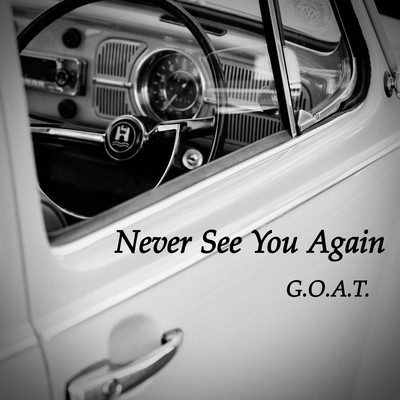 Never See You Again Front Cover