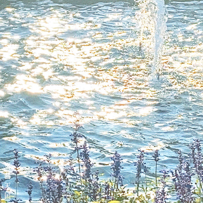 花咲く君の滑走路のジャケット写真