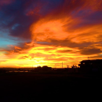 君と見た恋の景色のジャケット写真