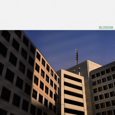 BLOSSOM Front Cover