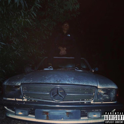 Alpen ski (feat. week dudus, Bonbero & oohkami) Front Cover