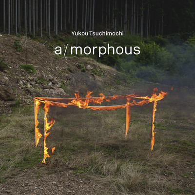 a/morphous Front Cover