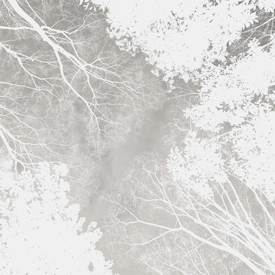 Rabbit Song Front Cover